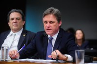 Ameaça às lavouras, javalis serão tema de debate na Comissão de Agricultura