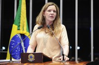  Vanessa Grazziotin defende obras de manutenção da BR-319, que liga Porto Velho a Manaus
