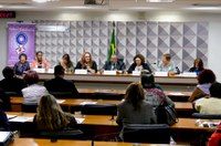 Reforma da Previdência, crise econômica e violência afetam mais as mulheres, aponta debate na CDH
