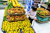 Comissão aprova regras para embalagens de frutas e verduras 