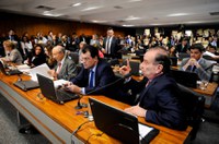 CCJ dá parecer favorável a alterações na Lei Maria da Penha sob protesto de grupo de senadores
