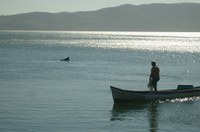 Laguna (SC) torna-se Capital Nacional dos Botos Pescadores