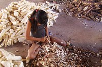 Projeto que torna crime contratar trabalho infantil está na pauta da CCJ