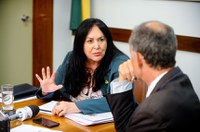 Nova reforma política pode ser proposta ainda este ano, diz Rose de Freitas