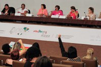 Seminário termina com sugestões para pauta feminina do Congresso em 2017