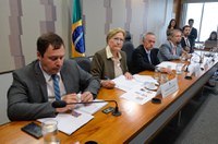 Comissão que analisa MP do Programa Cartão Reforma realiza audiência pública