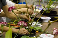 Arte da Ikebana terá data comemorativa no início da primavera