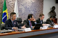 Ferrovia bioceânica é viável, dizem chineses em audiência pública