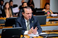 Exploração de florestas plantadas poderá receber incentivos fiscais