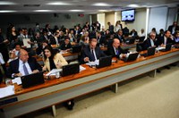 Recursos do Fundo do Meio Ambiente poderão reforçar proteção à Caatinga