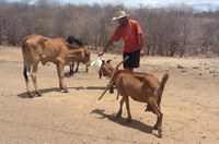 Comissão analisará critérios para enquadramento de município no semiárido