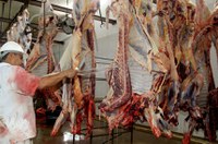 Comissão debaterá descentralização de empreendimentos no setor de carne