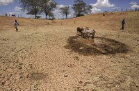 CAE pode votar criação de fundo para combater efeitos da seca