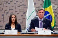 Comissão debate integração de países emergentes e situação do Brasil nos Brics