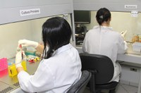 Pesquisa sobre células tronco será debatida em audiência pública