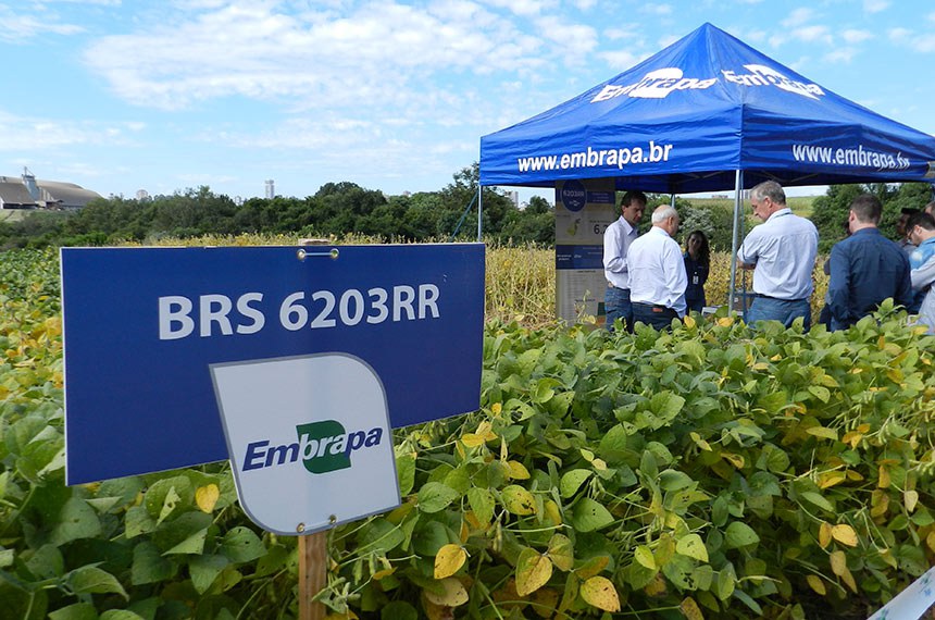 Lançamento de cultivar de soja com alta produtividade, indicada para áreas frias e úmidas, na Embrapa Trigo, em Passo Fundo (RS), em março de 2017