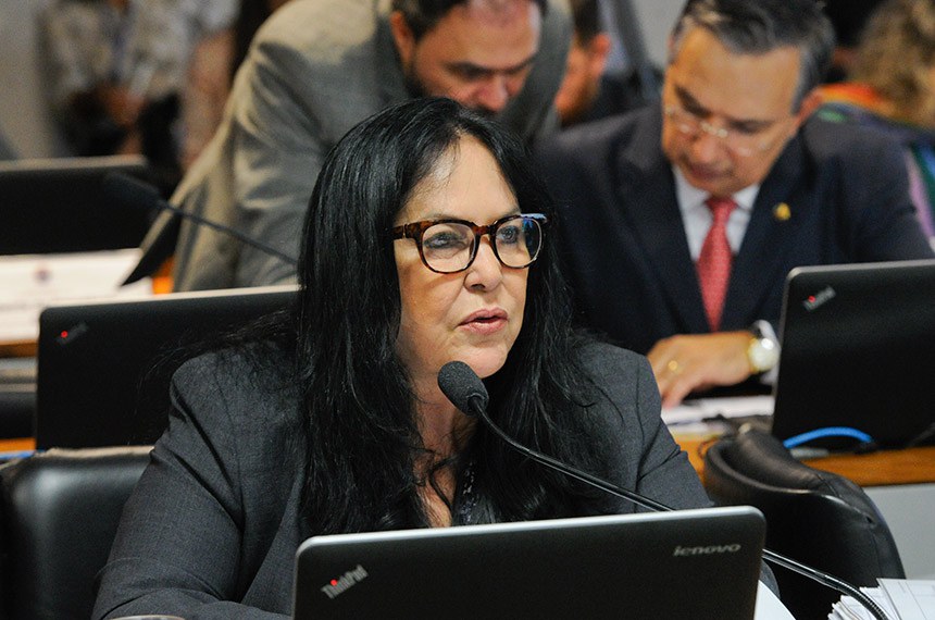 Relatório de Rose de Freitas é favorável à aprovação do projeto