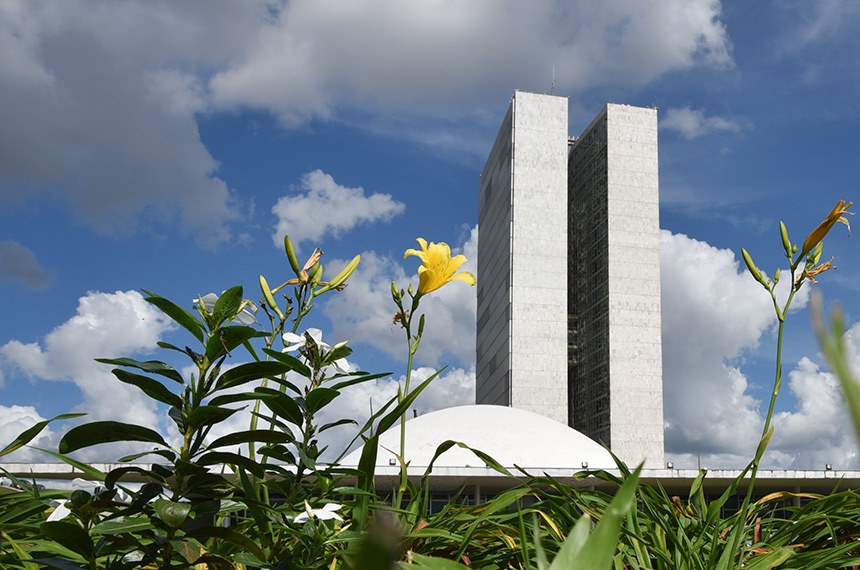 Fachada do PalÃƒÂ¡cio do Congresso Nacional, a sede das duas Casas do Poder Legislativo brasileiro.  As cÃƒÂºpulas abrigam os plenÃƒÂ¡rios da CÃƒÂ¢mara dos Deputados (cÃƒÂ´ncava) e do Senado Federal (convexa), enquanto que nas duas torres - as mais altas de BrasÃƒÂ­lia, com 100 metros - funcionam as ÃƒÂ¡reas administrativas e tÃƒÂ©cnicas que dÃƒÂ£o suporte ao trabalho legislativo diÃƒÂ¡rio das duas instituiÃƒÂ§ÃƒÂµes.  Obra do arquiteto Oscar Niemeyer.   Foto: Pillar Pedreira/AgÃƒÂªncia Senado