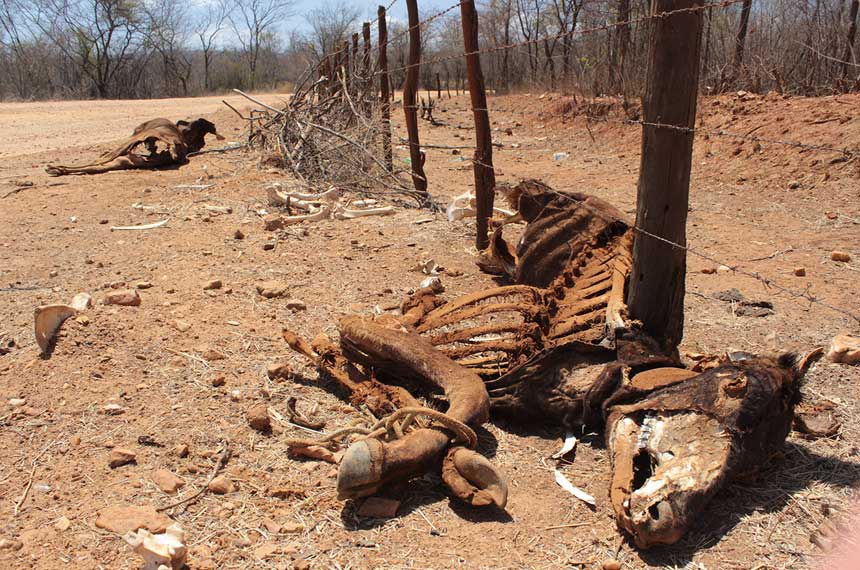 Seca na Paraíba.  Publicada em 10/1/2013: A Assembleia Legislativa da Paraíba (ALPB) irá realizar, na próxima terça-feira (15), o lançamento da Campanha ‘SOS Seca Paraíba’, com o objetivo de mobilizar a sociedade para reivindicar ações emergenciais e estruturantes, com propósito de minimizar os efeitos provocados pelas mudanças climáticas no Semiárido nordestino. A solenidade acontecerá no Salão Parahyba, do Hotel Tambaú, em João Pessoa (PB), a partir das 9h.