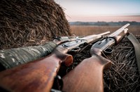 Propostas de senadores alteram legislação sobre armas de fogo