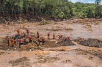 Senadores cobram providências após tragédia de Brumadinho