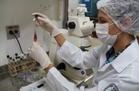 Preservação da biodiversidade pode levar a novo ciclo de industrialização, dizem especialistas