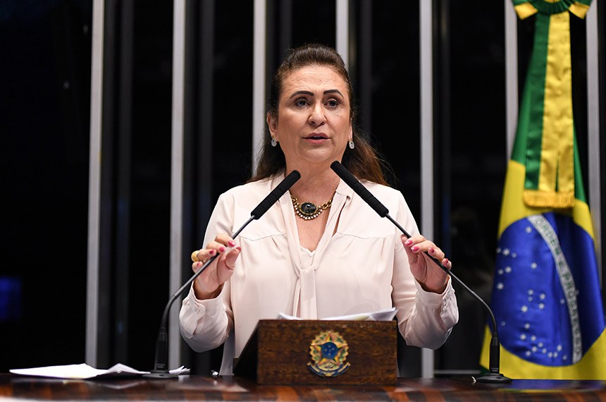 Plenário do Senado Federal durante sessão não deliberativa. Em discurso, à tribuna, senadora Kátia Abreu (PDT-TO). Foto: Jefferson Rudy/Agência Senado