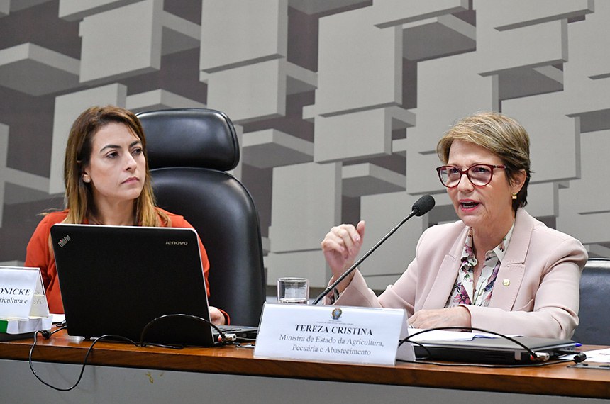 Comissão de Agricultura e Reforma Agrária (CRA) realiza audiência pública interativa com a ministra de Estado da Agricultura, Pecuária e Abastecimento (Mapa), para apresentar diretrizes e programas prioritários da pasta.  Mesa: presidente da CRA, senadora Soraya Thronicke (PSL-MS); ministra de Estado da Agricultura, Pecuária e Abastecimento (Mapa), Tereza Cristina.  Foto: Geraldo Magela/Agência Senado