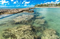  Projeto quer proibir venda de protetores solares danosos a recifes de corais
