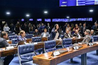 Rose de Freitas pede união do Plenário para a defesa da pauta das mulheres