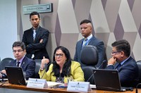 CPI de Brumadinho define plano de trabalho e remarca depoimento de Schvartsman