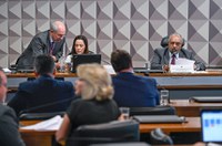 CDH acata sugestão legislativa de cidadã para revogação do Teto de Gastos