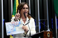 Kátia Abreu pede que TCU reveja termos do leilão da Ferrovia Norte-Sul