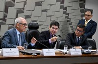 Questionado por senadores, ex-presidente da Vale admite falhas na análise de riscos