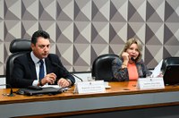 Comissão vota relatório sobre MP do Programa de Regularização Ambiental