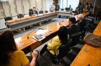 Despacho gratuito de carrinho de bebês em avião está na pauta da CTFC