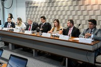 Para debatedores, auxílio a vítimas de Brumadinho não pode excluir outros benefícios