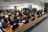 CCJ aprova regulamentação da profissão de cuidador de idoso