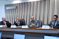 Estudos sobre recursos minerais de Roraima são apresentados na CDR