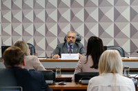 Decreto que facilita porte de armas será discutido na CDH