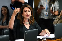 Modernização do marco legal das franquias é aprovada na CAE