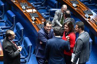 Projetos para sustar decreto das armas tramitarão juntos