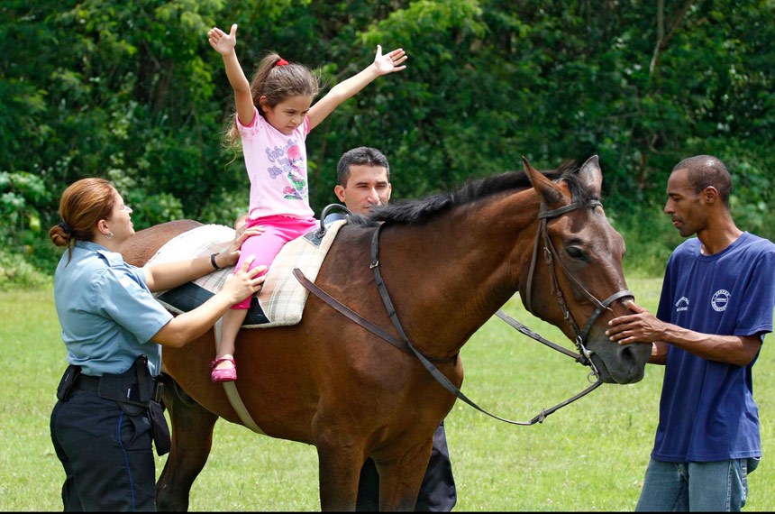A técnica de reabilitação que utiliza cavalos desenvolve socialização, autoconfiança e autoestima, diz o autor do projeto, senador Flávio Arns