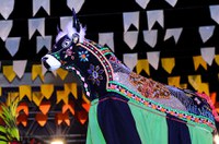 Aprovado projeto que elege São Luís como a capital nacional do Bumba Meu Boi