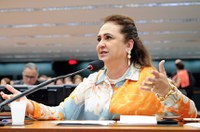 Comissão de Orçamento aprova recursos para pagamento de policiais rodoviários