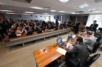 Prioridade de recursos para remediação de desastres naturais é aprovada na CAE