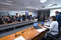 Com novo decreto de armas, CCJ adia discussão de projetos sobre o assunto