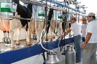 Isenção de IPI para equipamentos usados na produção de leite é aprovada na Comissão de Agricultura
