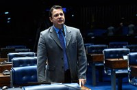 Reguffe elogia aprovação da MP que abre setor aéreo ao capital estrangeiro 