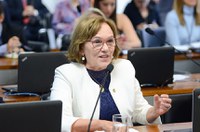 Comissão analisa prioridade de matrícula para vítimas de violência doméstica